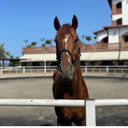 Coastal Comfort * 格勒姆